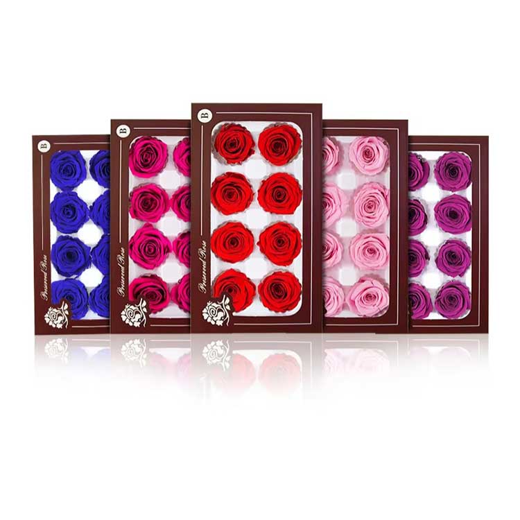 Věčný květ 8 květů růže Dárková krabička