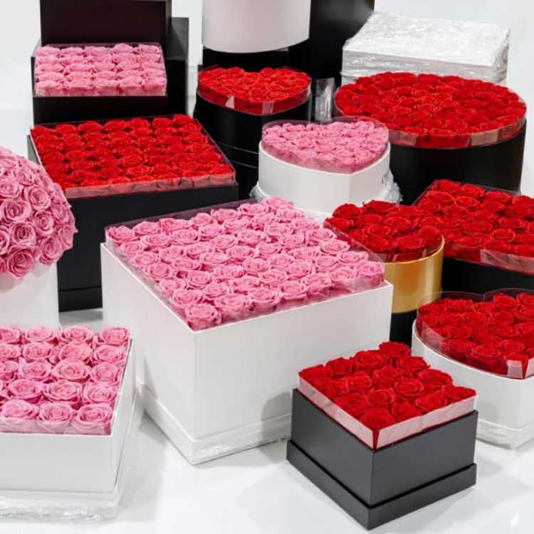 Zachovalý květinový kyblík